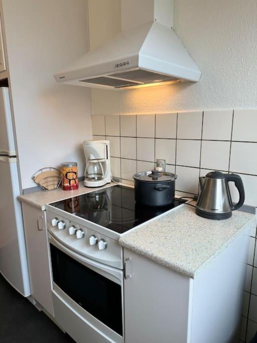 Stor Og Lys Lejlighed I Hjertet Af 霍尔斯特布罗 外观 照片